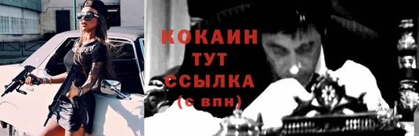 дживик Вязники